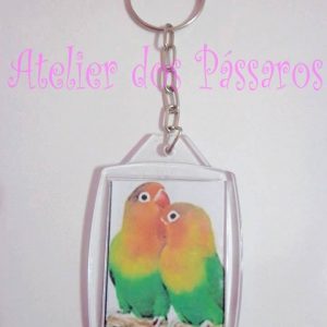 Chaveiro de Acrílico - Casal de Agapornis Fisher