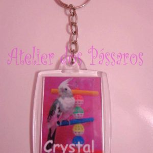 Chaveiro de Acrílico - Personalizado