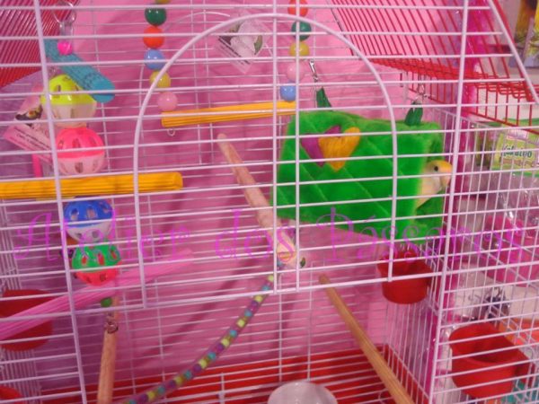 Mini Cabaninha em Pelúcia para Agapornis - Image 2