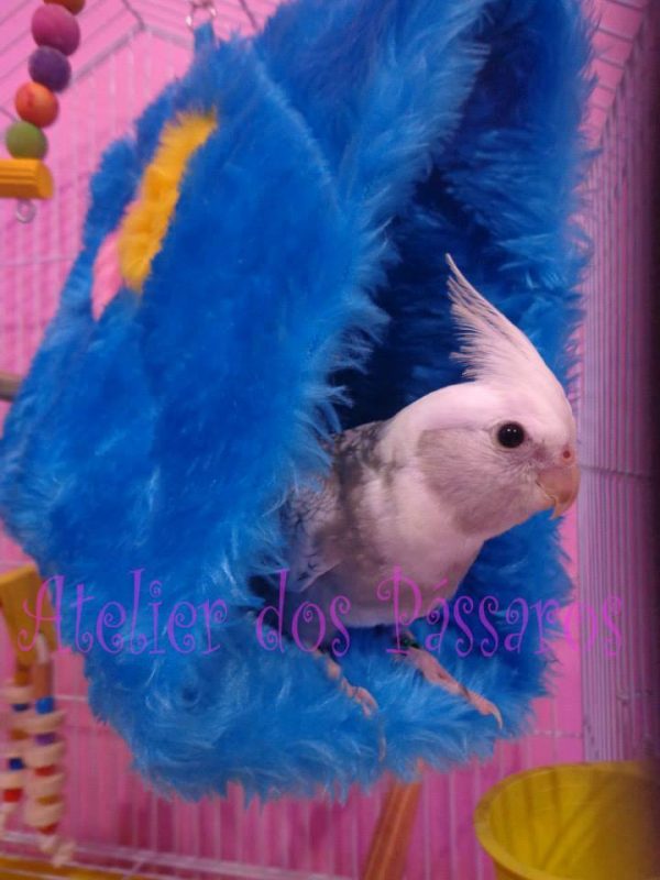 Cabaninha em Pelúcia para Calopsitas - Image 4