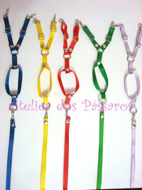 Peitoral com Guia para Calopsitas - Image 2