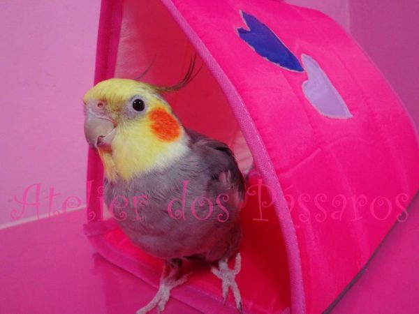 Cabaninha com Colchão Removível - Image 7