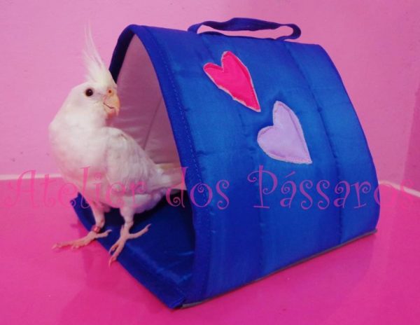 Cabaninha com Colchão Removível