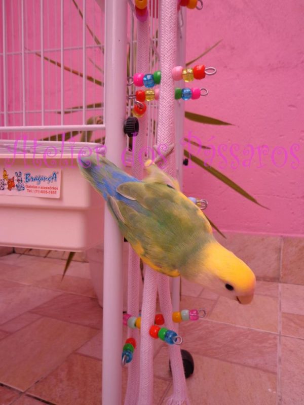 Corda de Acesso de 70cm