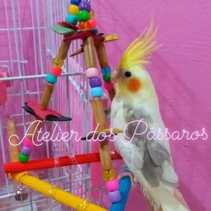 Brinquedo Pirâmide de Bambu e Cascalho de Coco