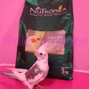 Nutrópica Calopsita Natural (5Kg)