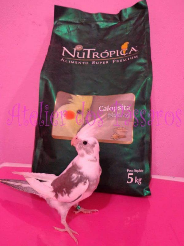 Nutrópica Calopsita Natural (5Kg)