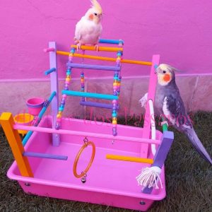 Playground com Fundo Plástico Colorido