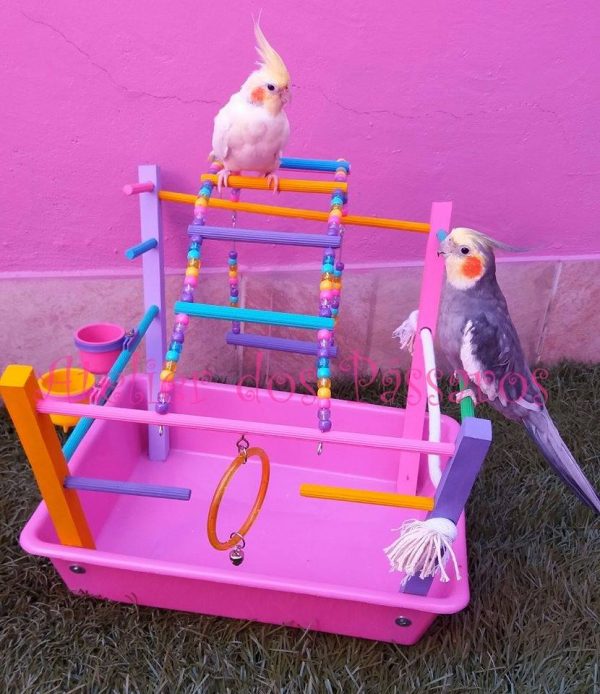 Playground com Fundo Plástico Colorido
