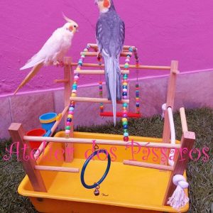 Playground com Fundo Plástico (Sem Pintura)