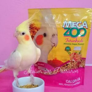 Megazoo Farinhada Calopsitas Mel e Ovos (300g)