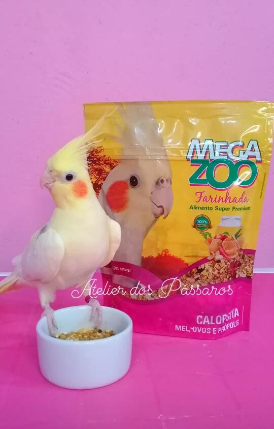Megazoo Farinhada Calopsitas Mel e Ovos (300g)