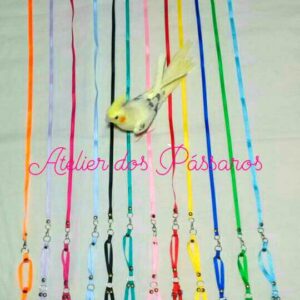 Peitoral com Guia para Calopsitas (Várias Cores)