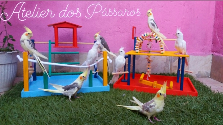 Atelier-dos-passaros-home Atelier-dos-passaros-home