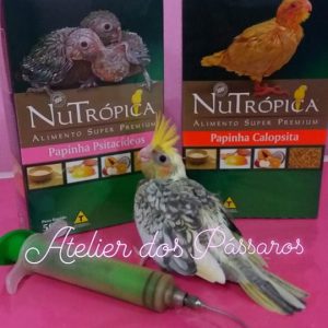 Nutrópica Papinha (Calopsita/Psitacídeos)