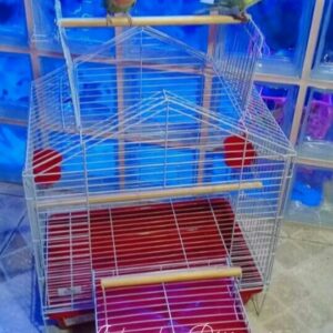 Gaiola Tipo Casa para Agapornis (Aramil Ref 151 - Malha Fina)