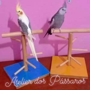 Pedestal Colors com Escadinha Caracol