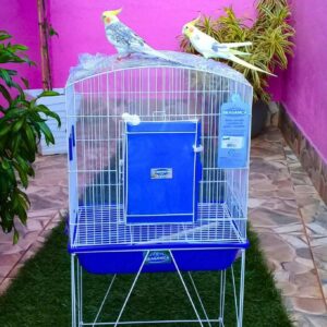 Moradia Calopsita Home Free Bragança (GP 306) com Aparador Articulado