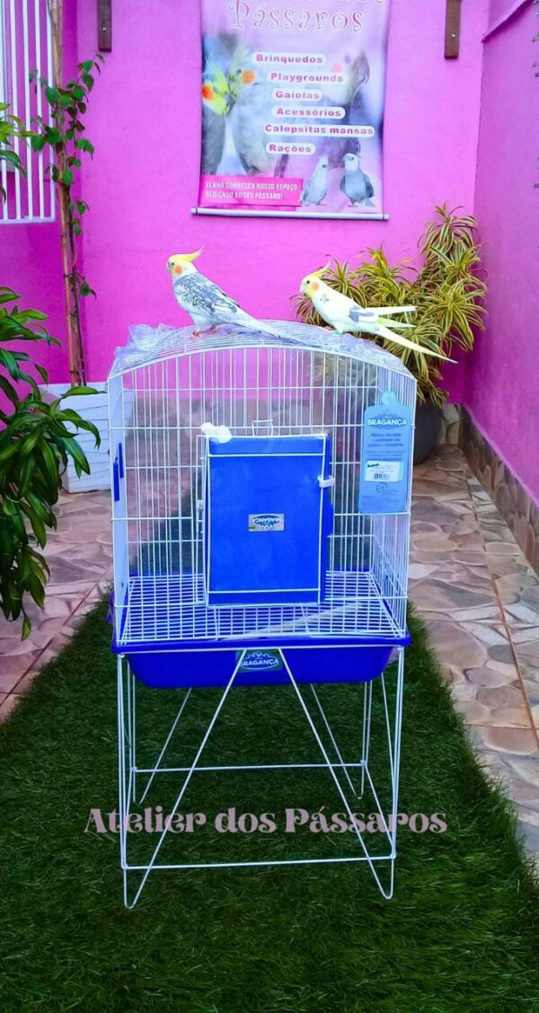 Moradia Calopsita Home Free Bragança (GP 306) com Aparador Articulado