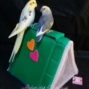 Bolsa de Transporte Triangular - Verde